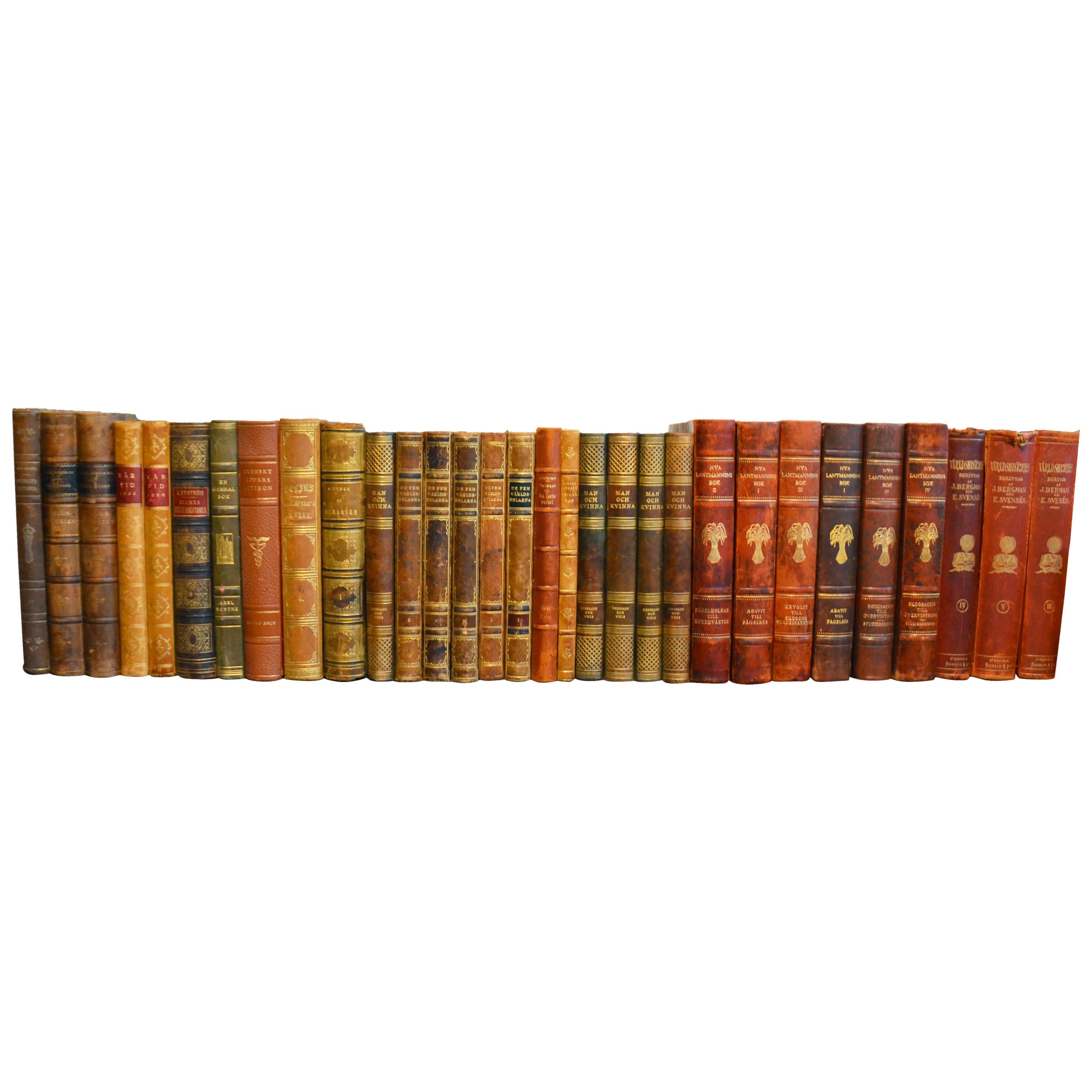 Collection of Leather Bound Books, Series 206