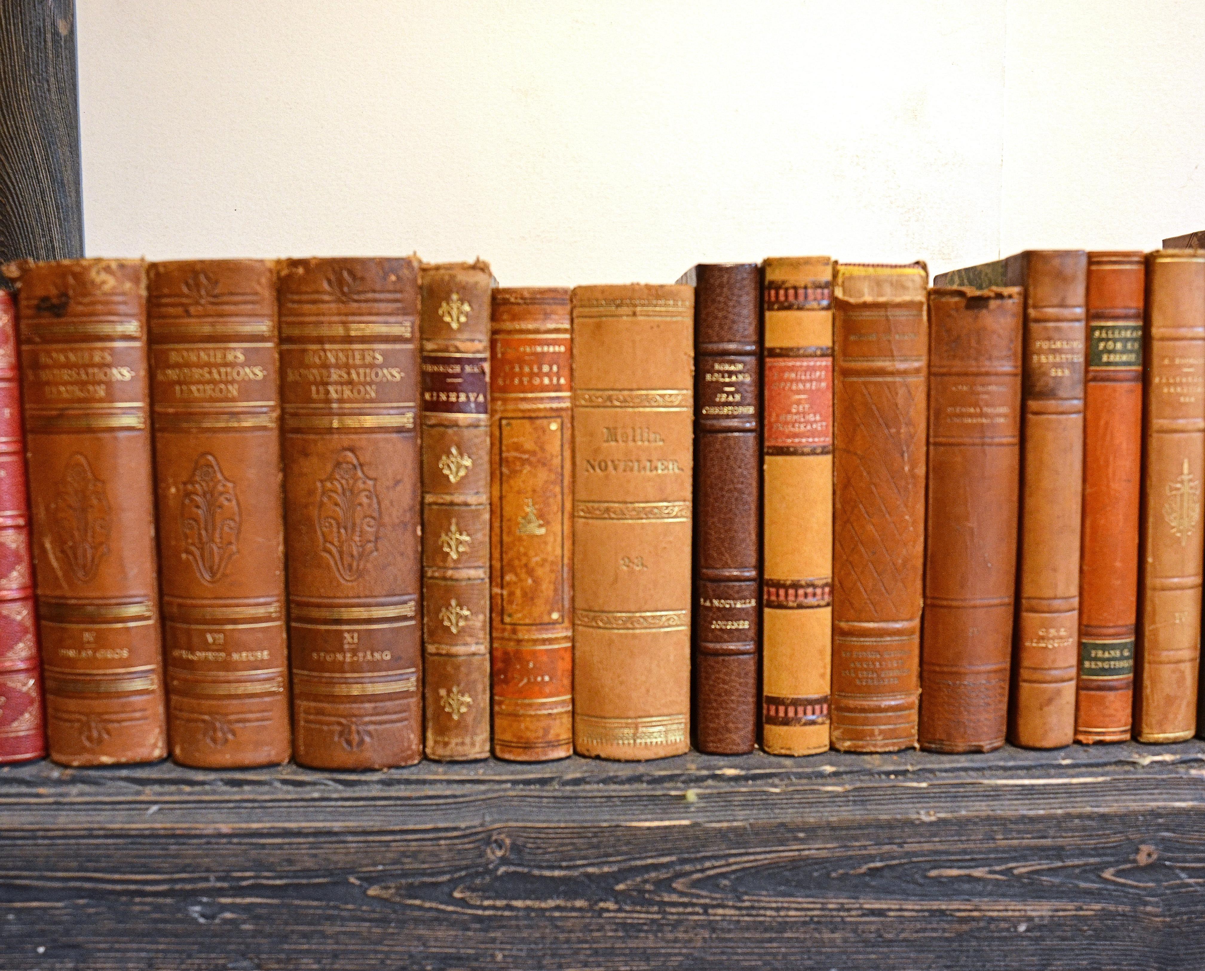 Swedish Collection of Leather Bound Books, Series 208