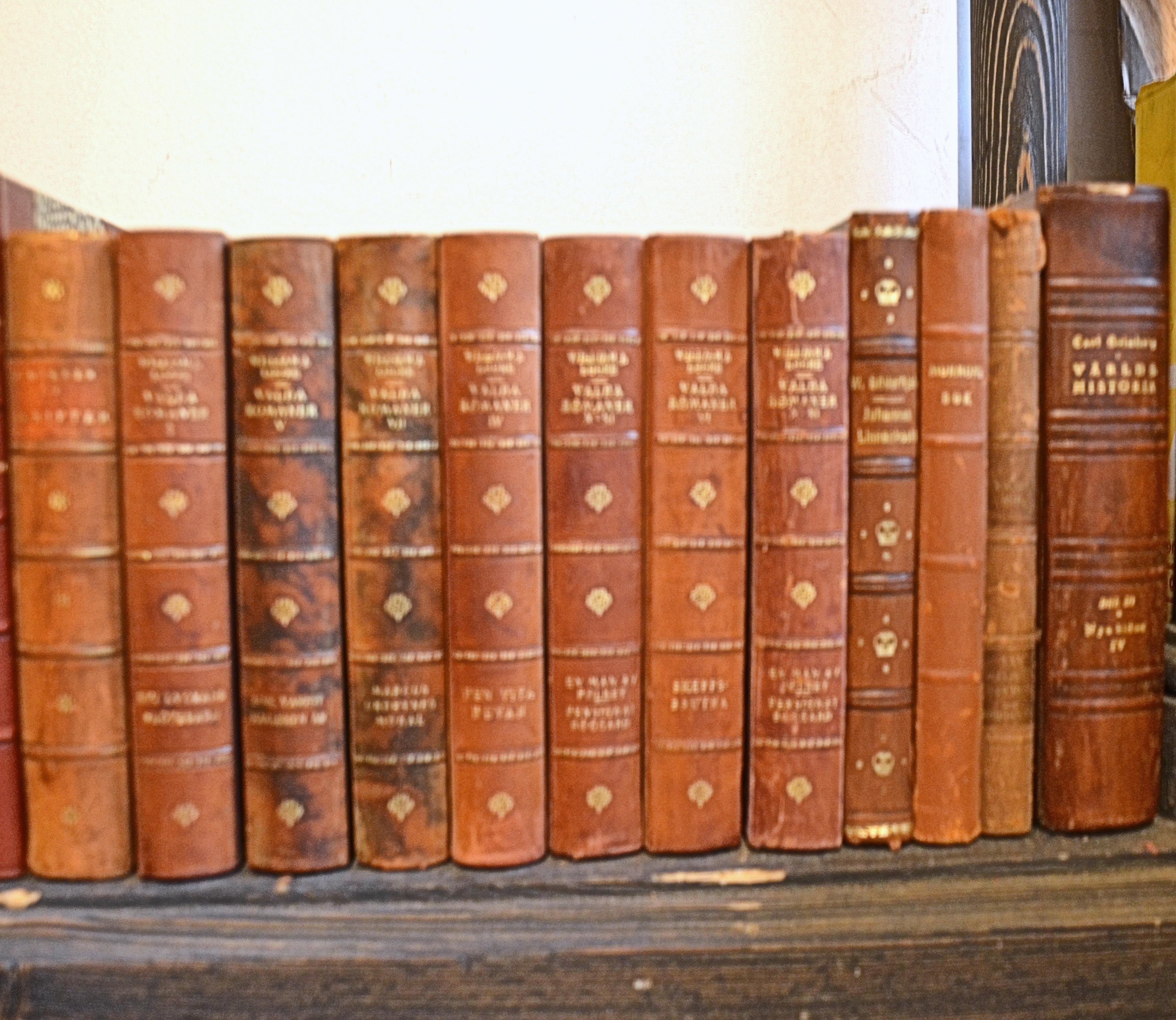 Collection of Leather Bound Books, Series 208 In Good Condition In London, GB