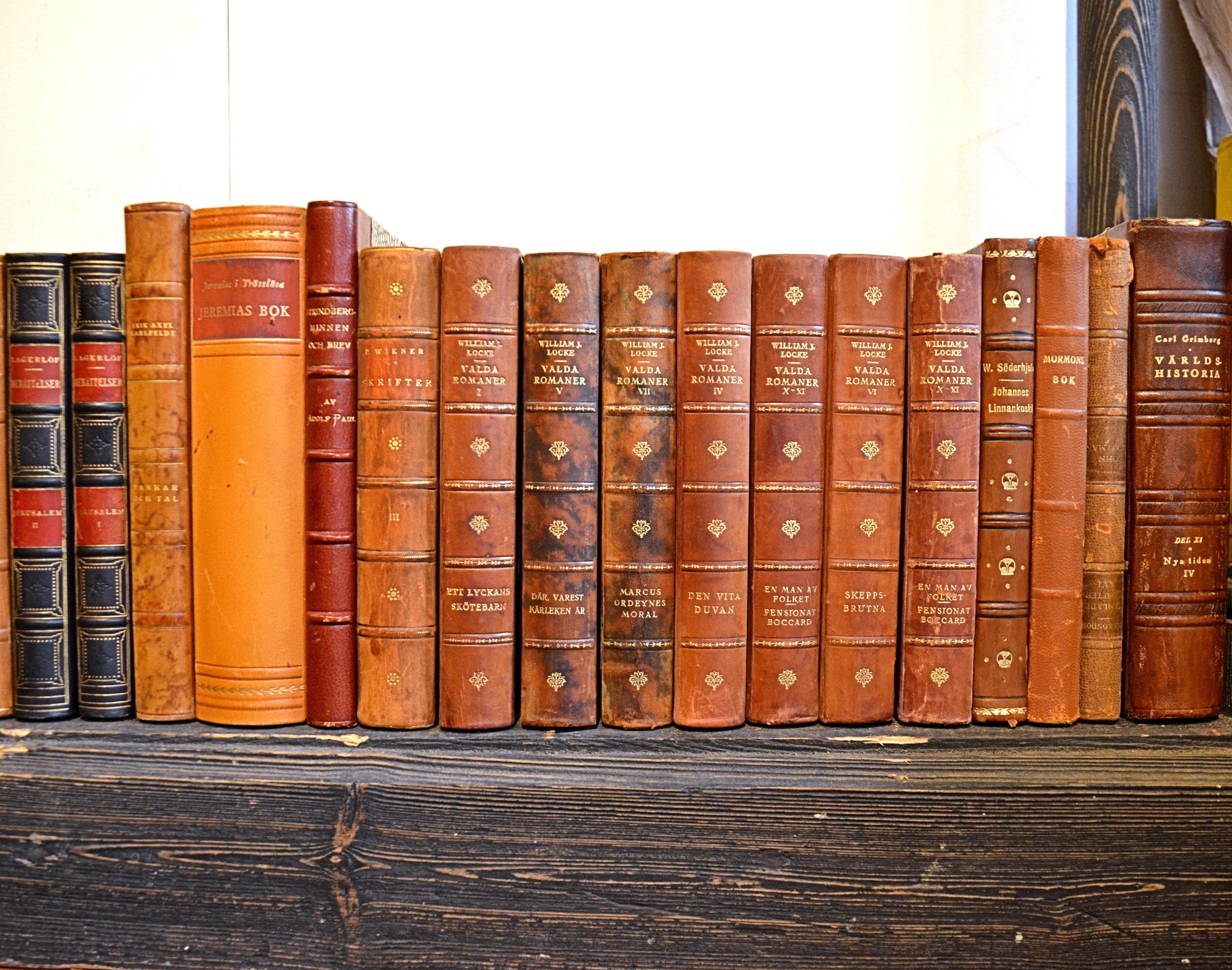 20th Century Collection of Leather Bound Books, Series 208