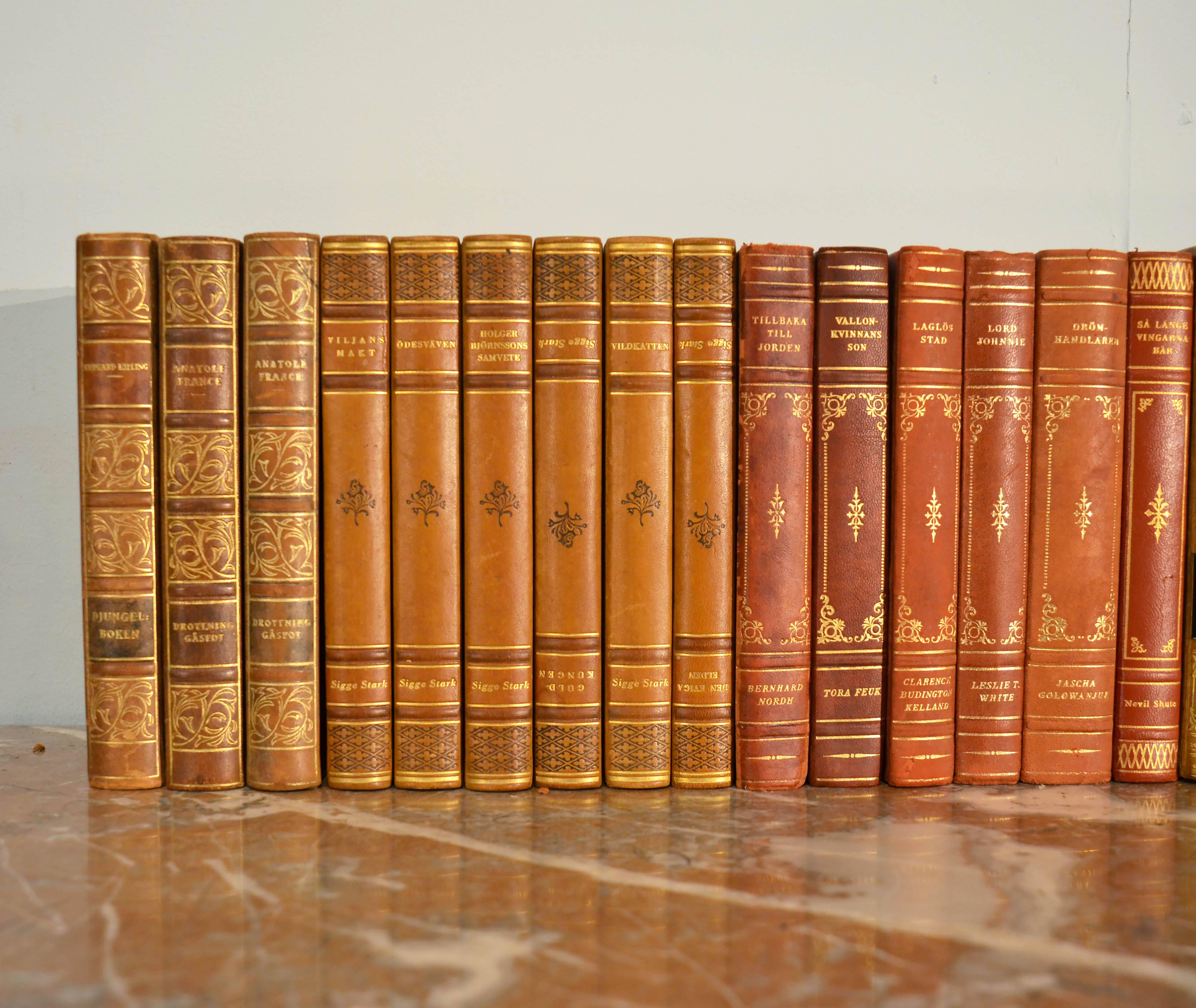 Collection of Leather Bound Books, Series 104 In Good Condition In London, GB
