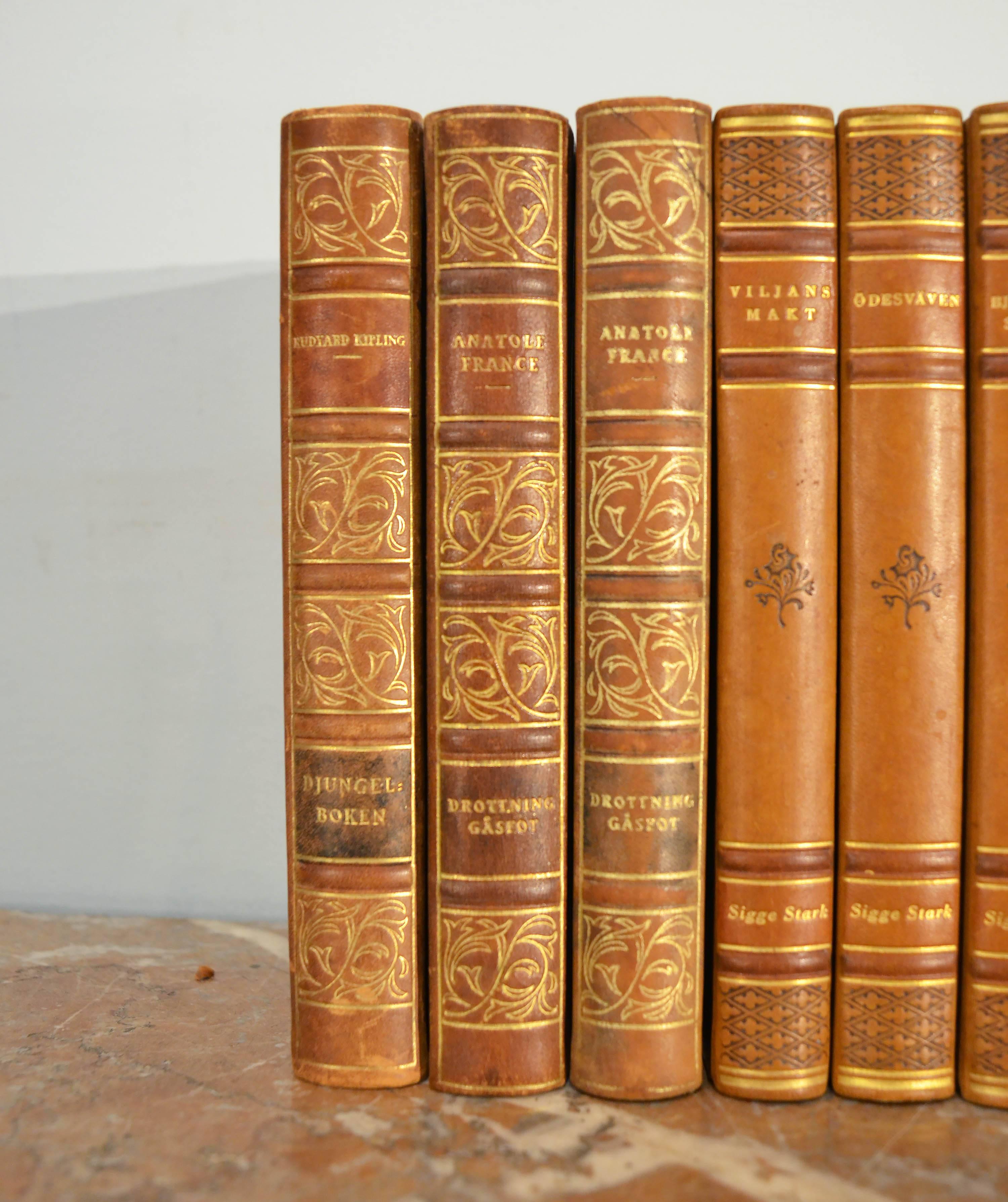 20th Century Collection of Leather Bound Books, Series 104