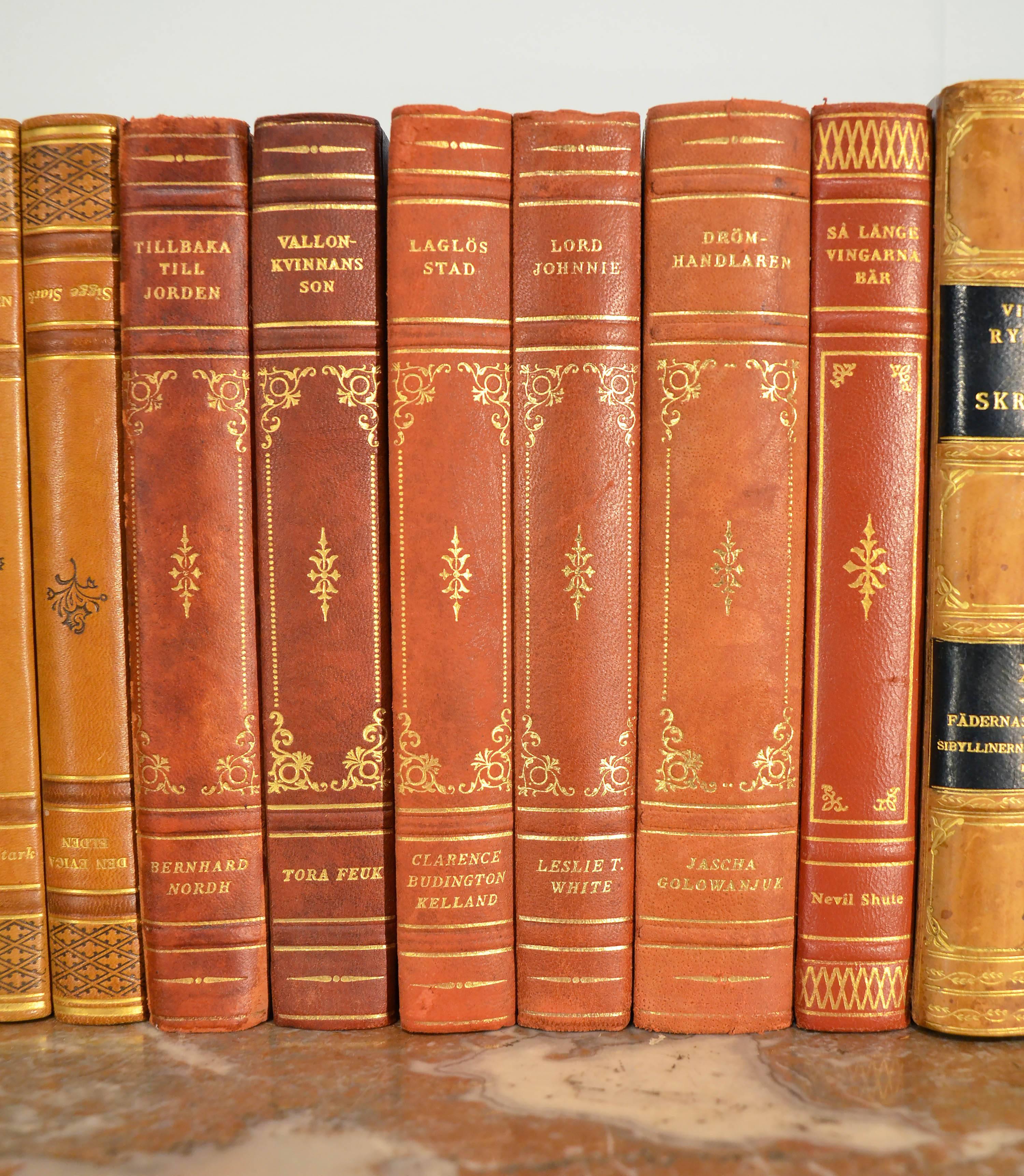 Collection of Leather Bound Books, Series 104 1