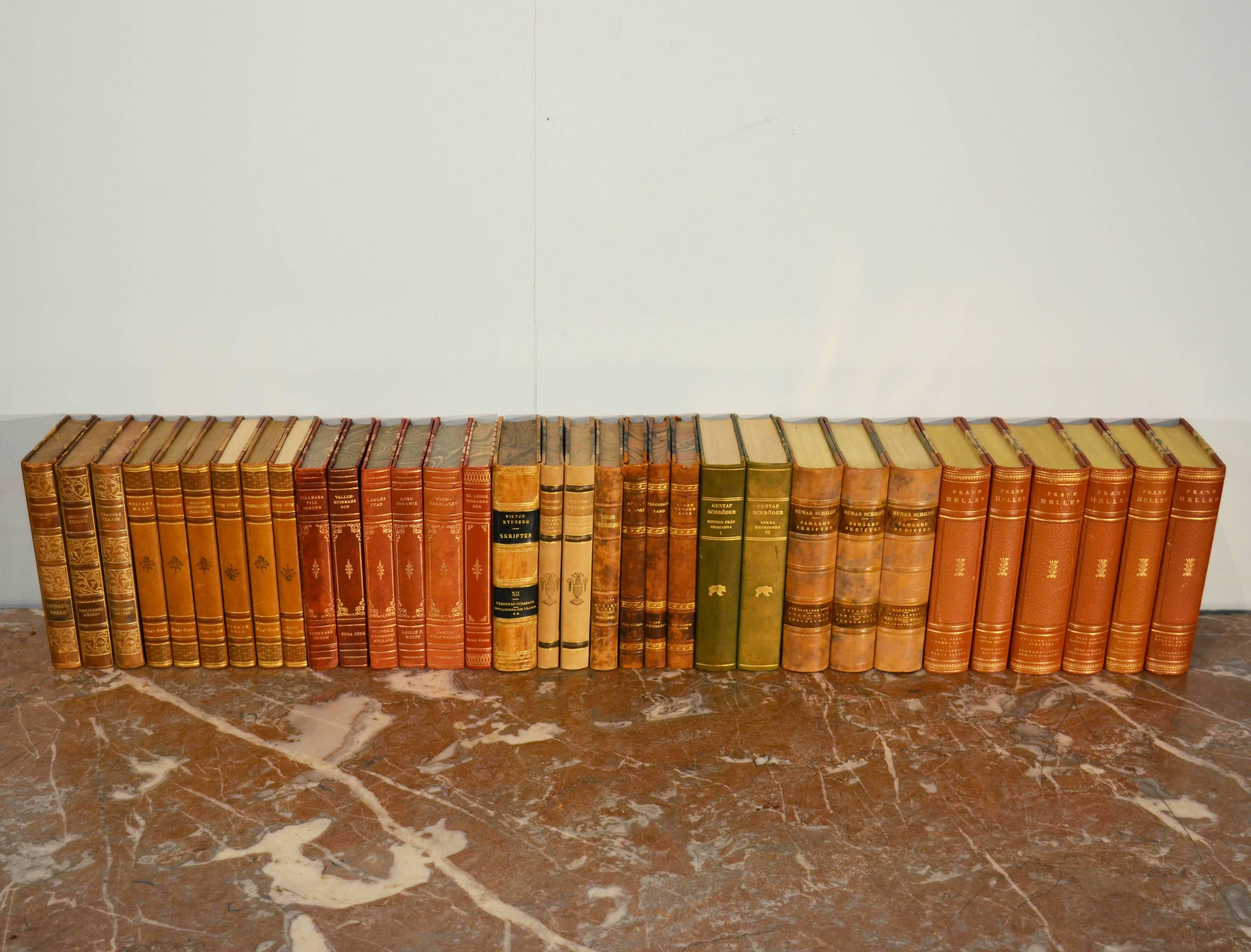 Collection of Leather Bound Books, Series 104 3