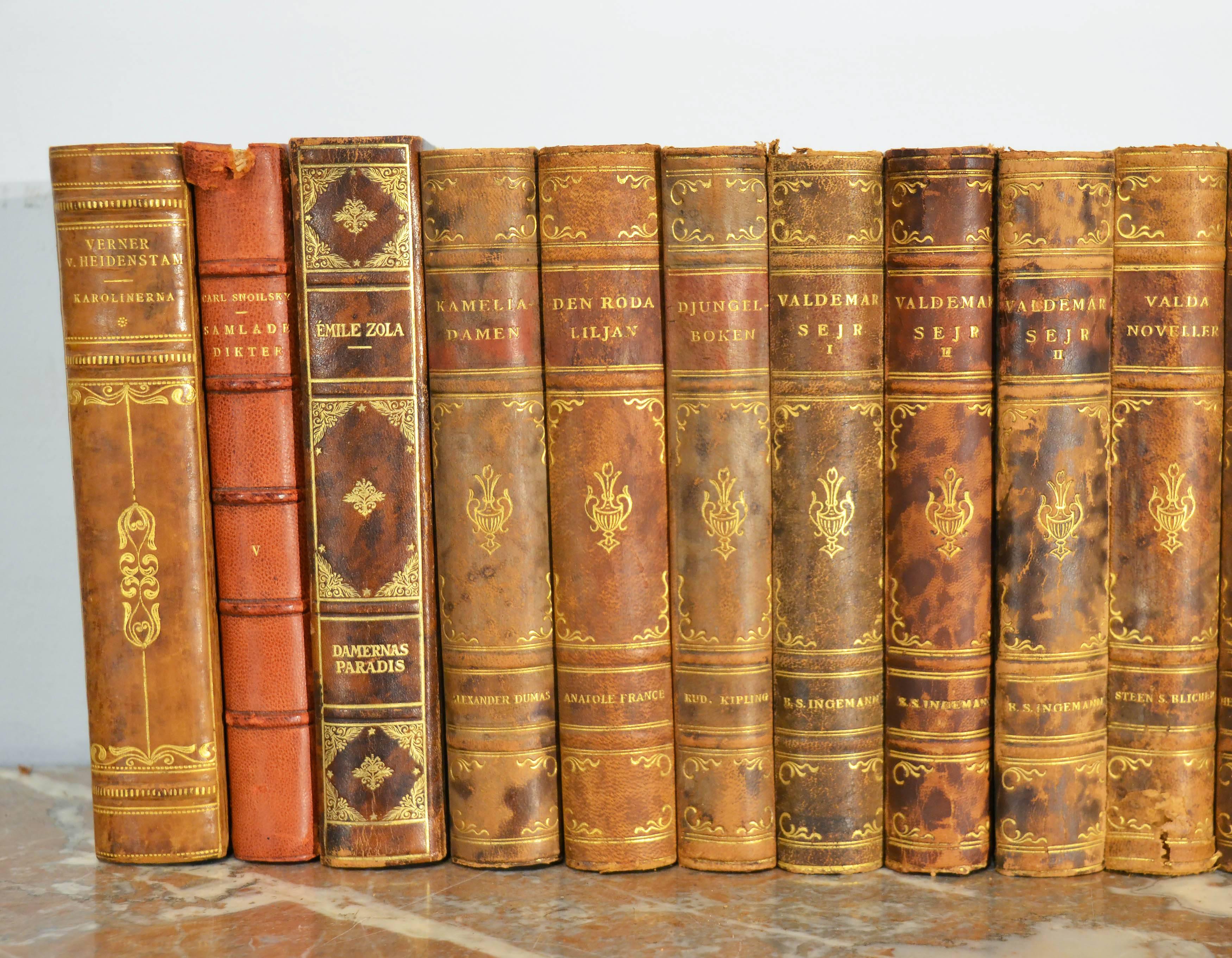 Collection of Leather Bound Books, Series 105 In Good Condition In London, GB