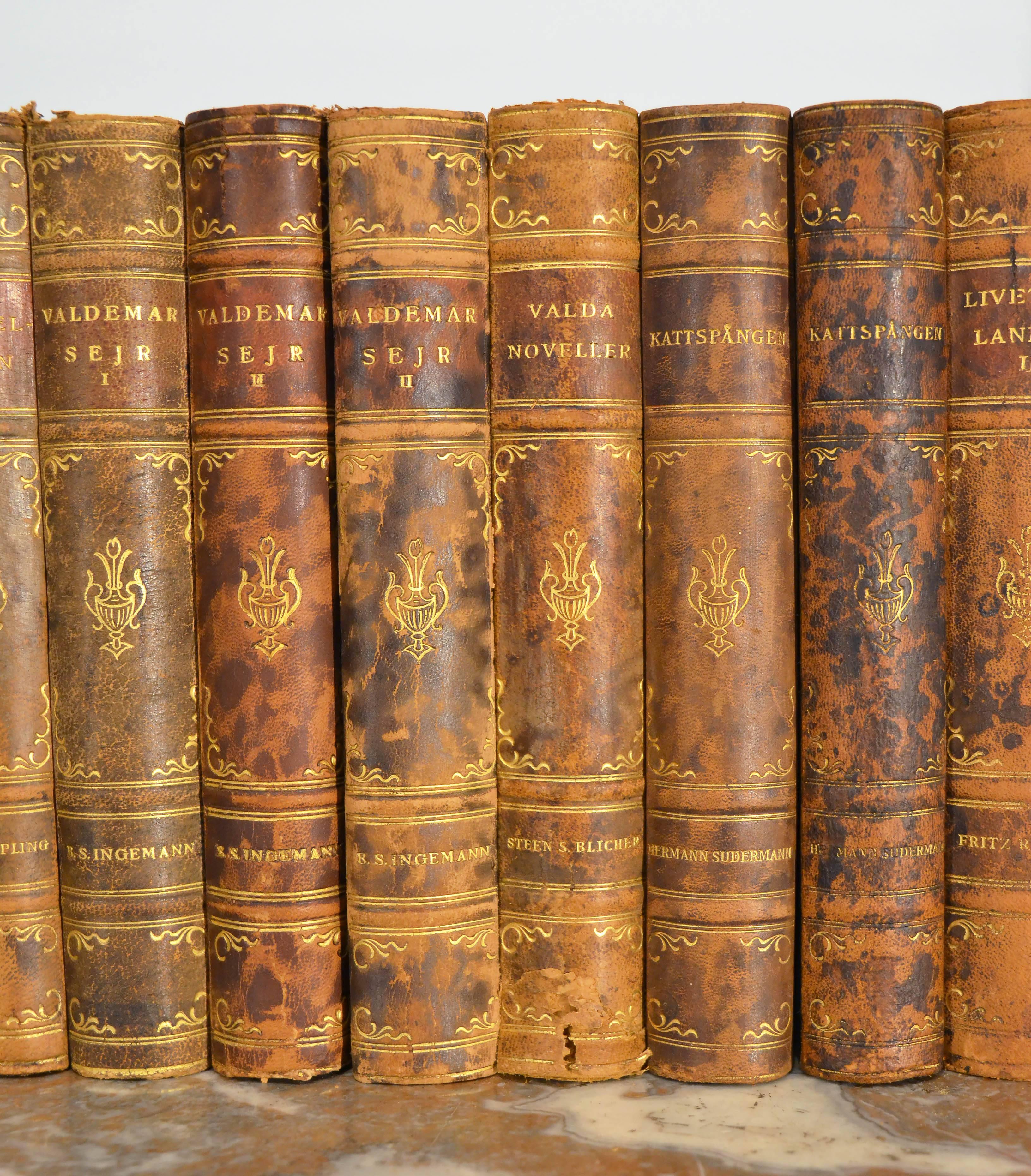 Collection of Leather Bound Books, Series 105 1