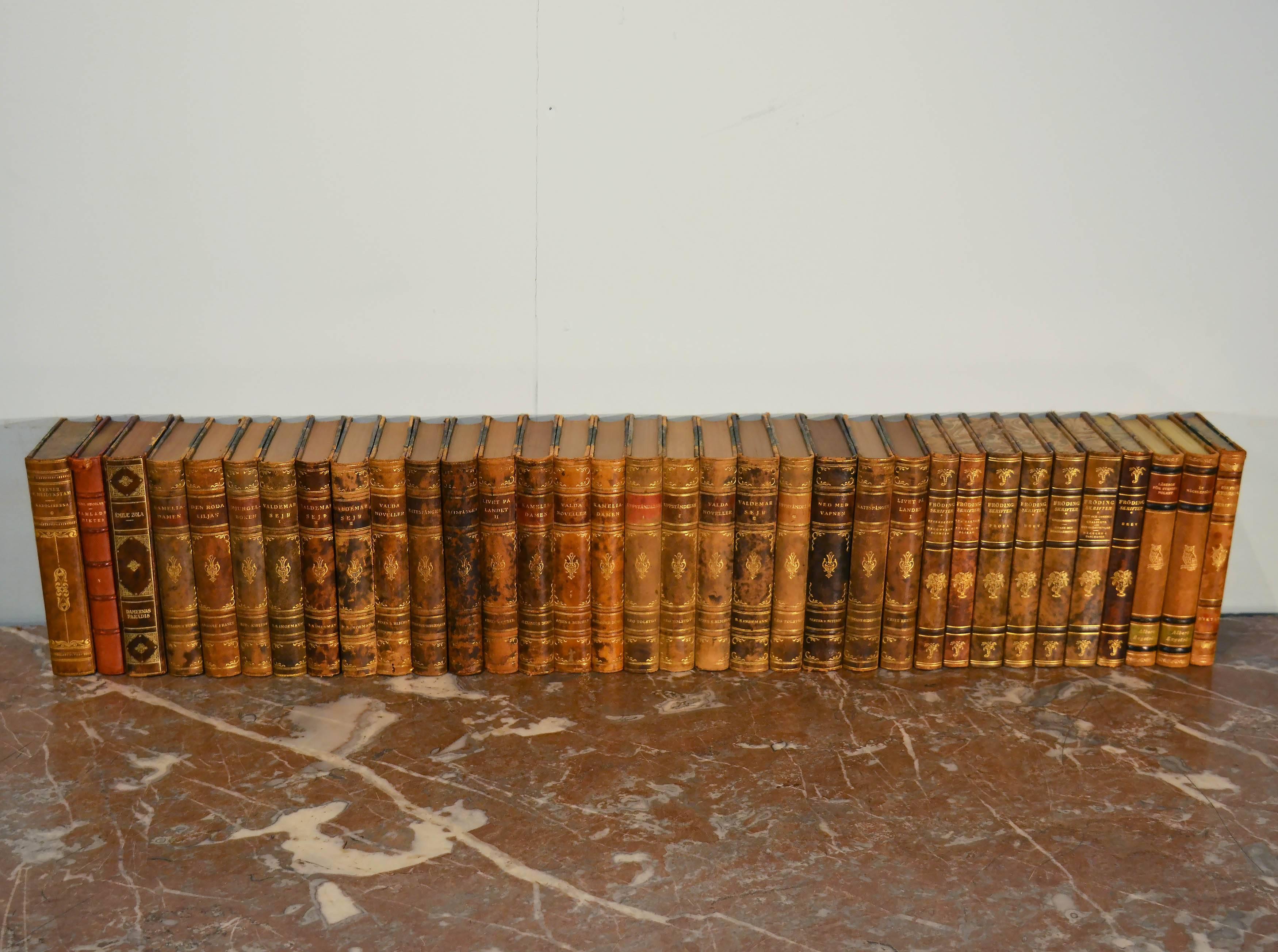 Collection of Leather Bound Books, Series 105 3