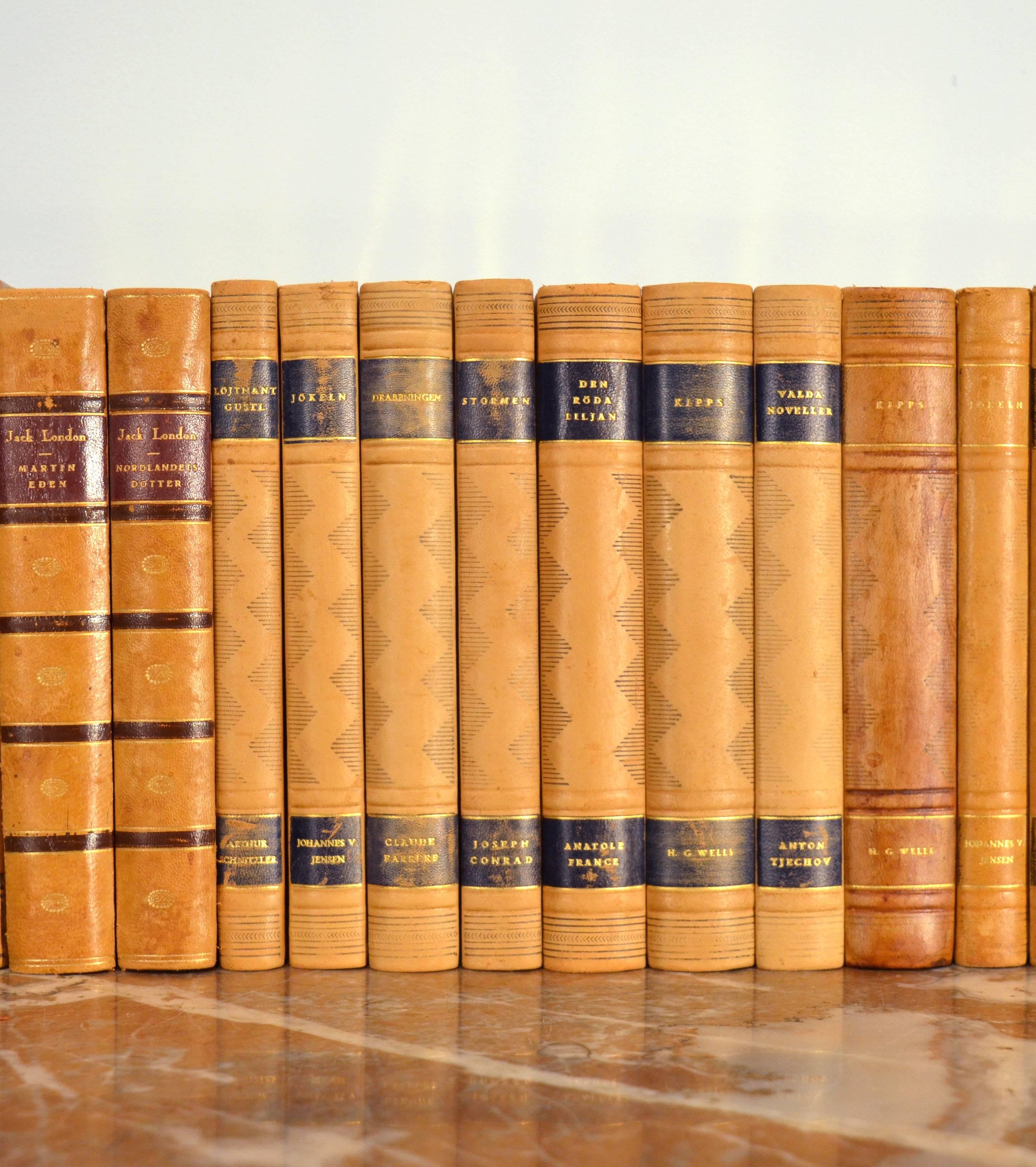 Swedish Collection of Leather Bound Books, Series 106