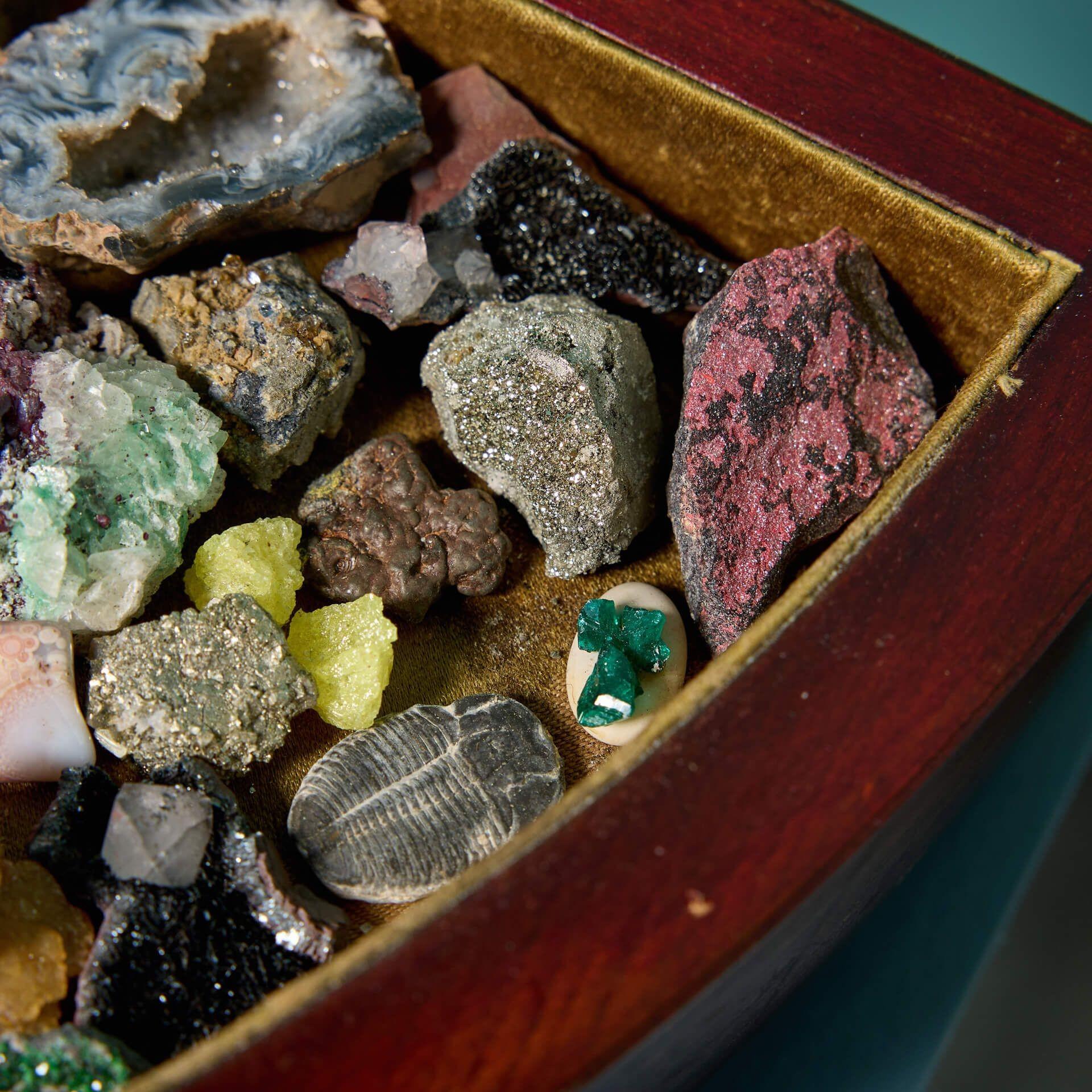 Multi-pierres The Collective of Minerals in Fan-shaped Case (Collection de minéraux dans un étui en forme d'éventail) en vente
