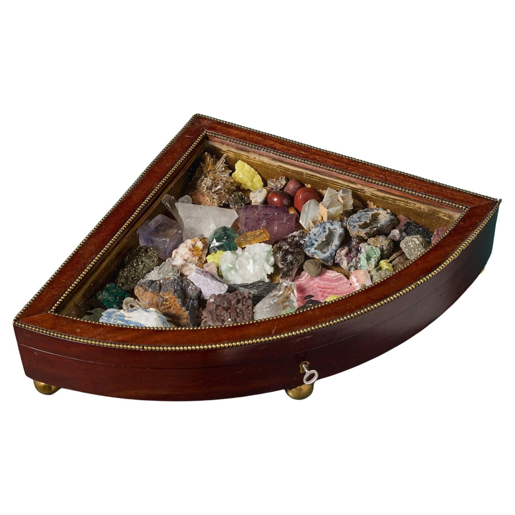 Sammlung von Mineralien in fächerförmigem Koffer