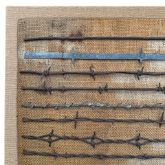 Collection of Mounted 19th Century American Barbed Wire Specimens