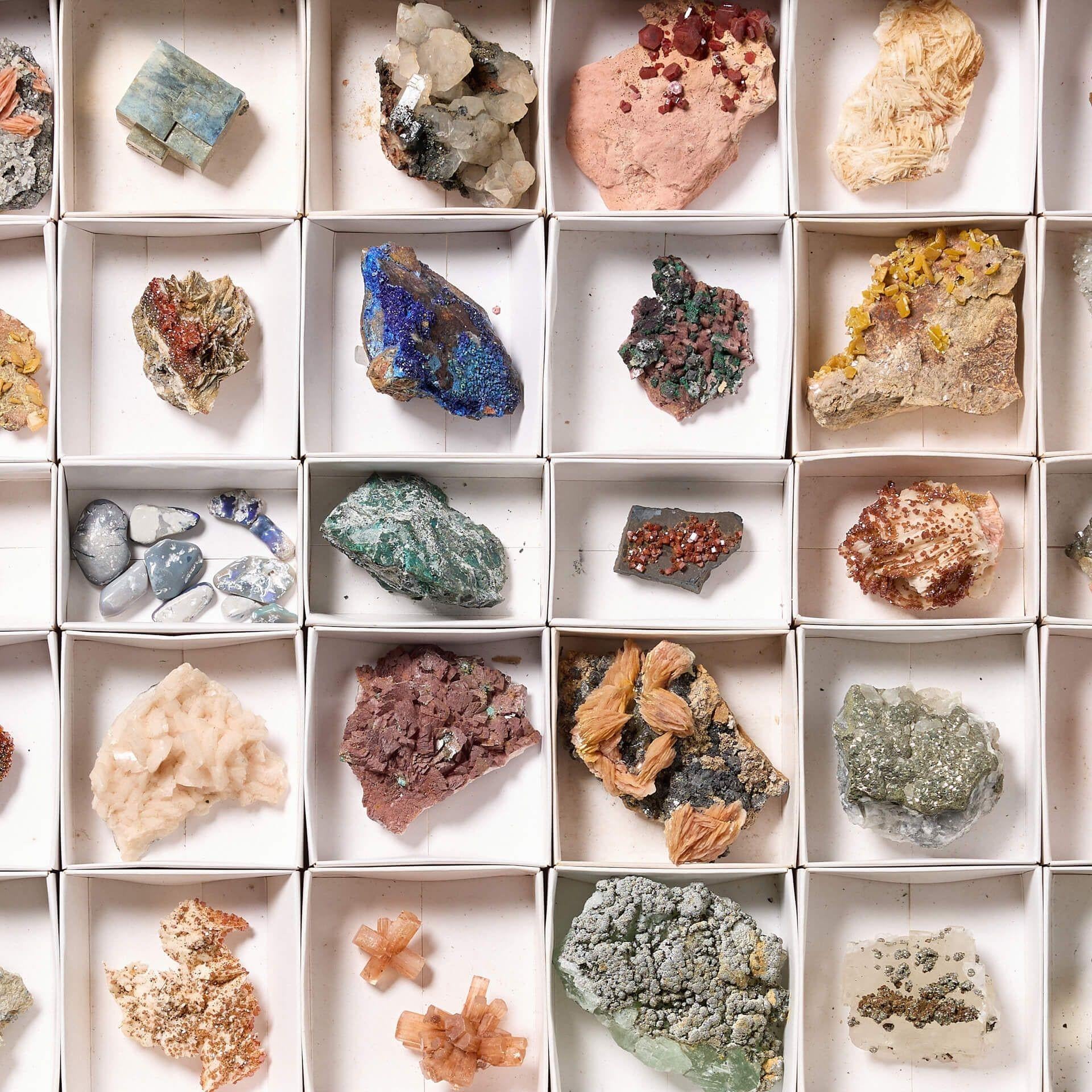 Sammlung von Museums- Mineralexemplaren in Ausstellungsgehäuse (Europäisch) im Angebot