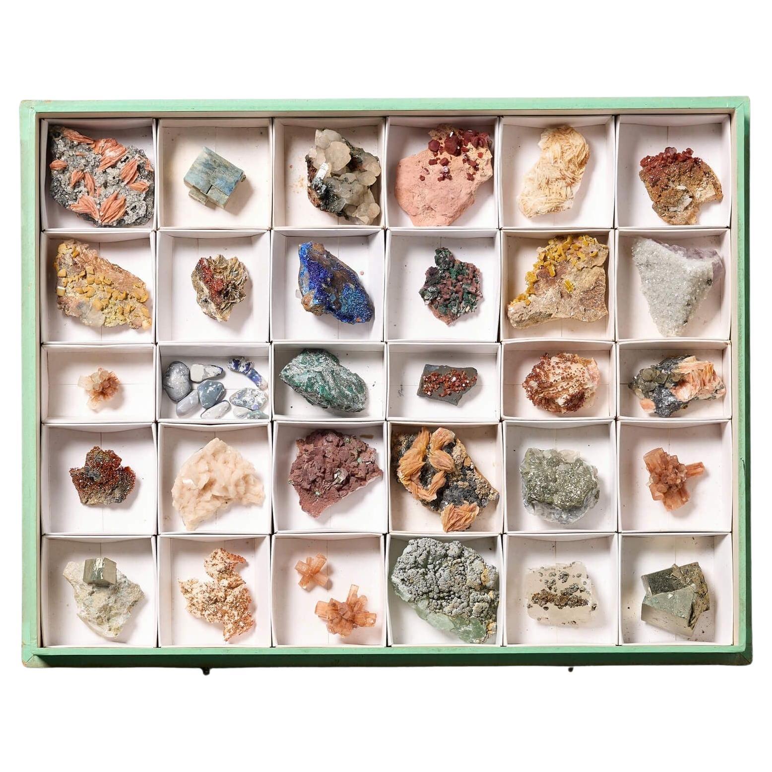 Sammlung von Museums- Mineralexemplaren in Ausstellungsgehäuse im Angebot