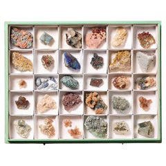 Sammlung von Museums- Mineralexemplaren in Ausstellungsgehäuse