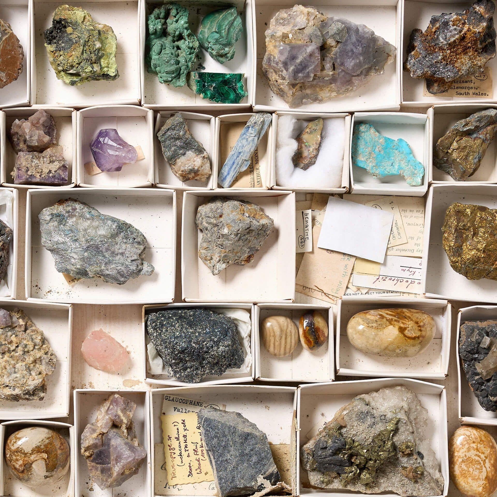 European Collection of Museum Minerals in Display Case For Sale