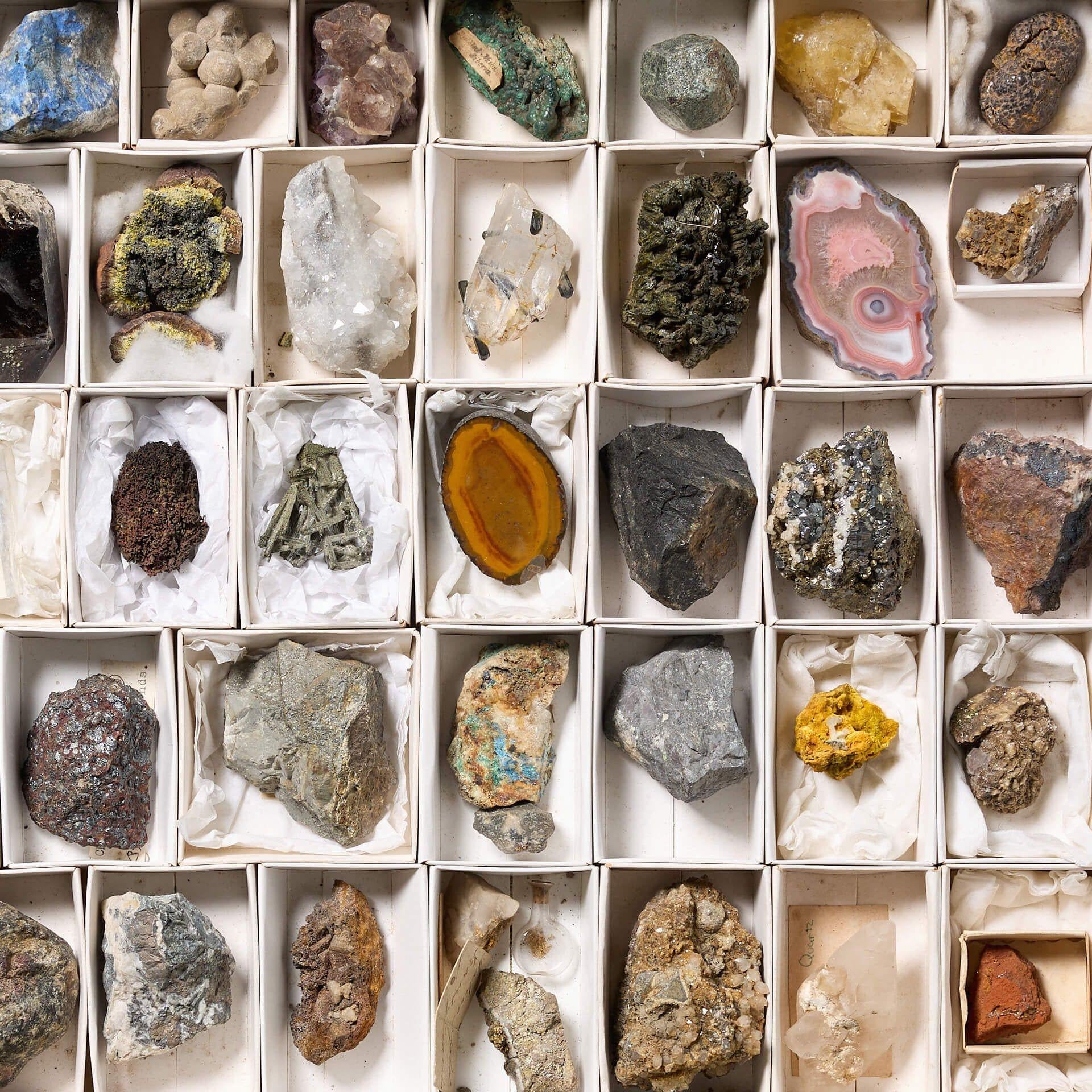 Sammlung von Museums Mineralien in Ausstellungsgehäuse (Englisch) im Angebot