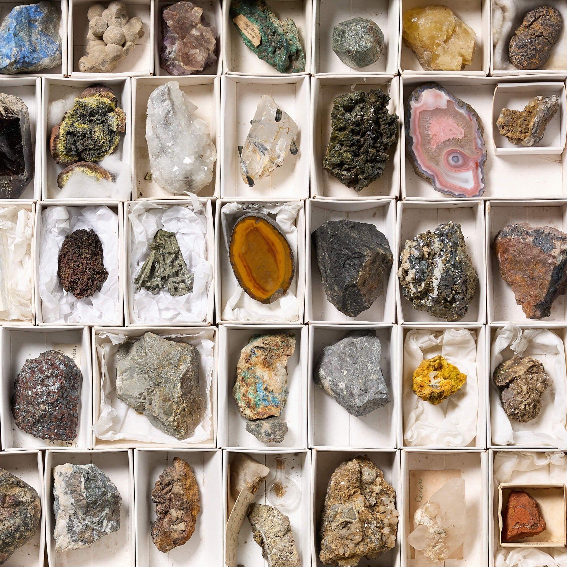 rock collection display