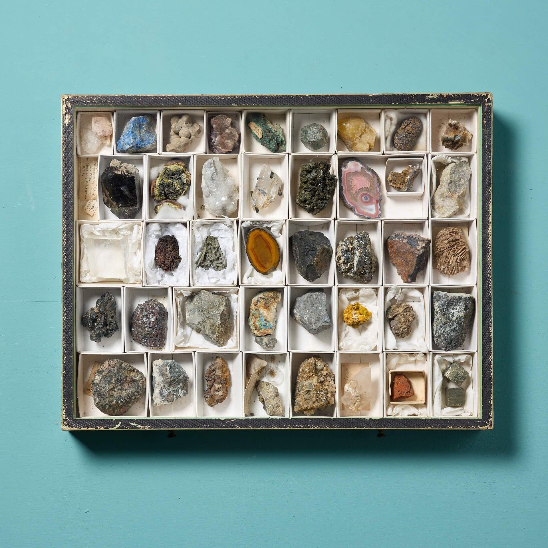 English Collection of Museum Minerals in Display Case For Sale