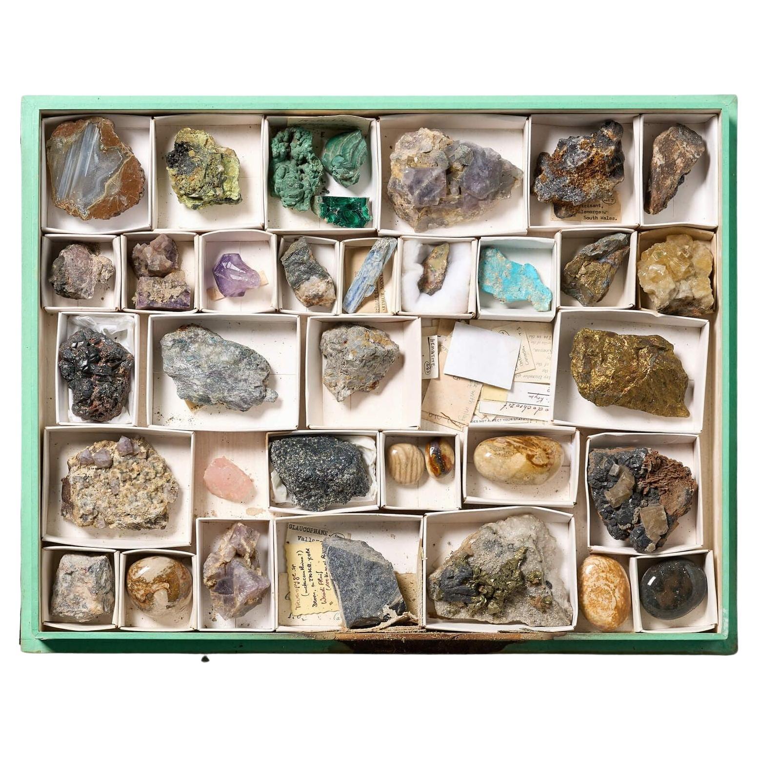 Collection of Museum Minerals in Display Case For Sale