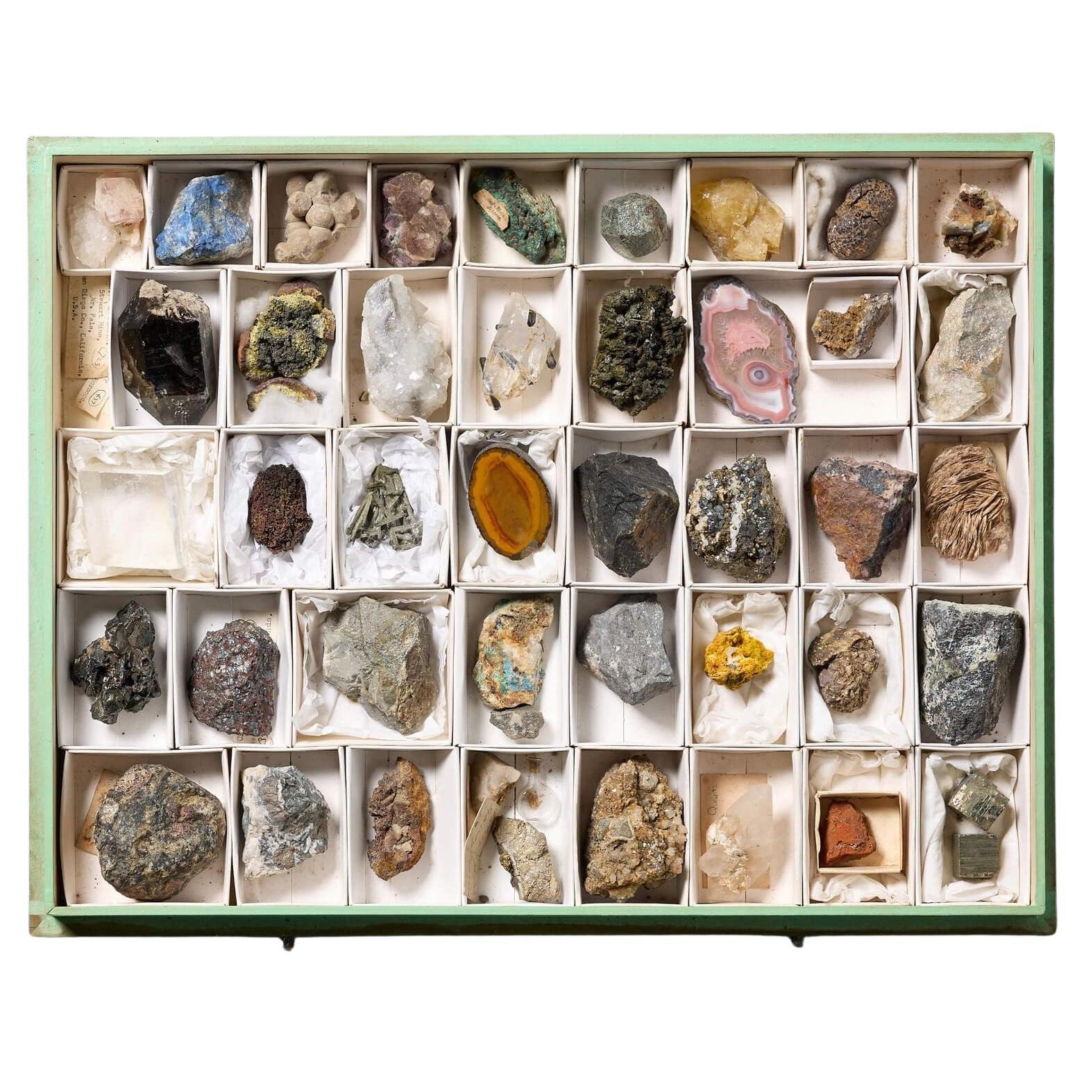 Sammlung von Museums Mineralien in Ausstellungsgehäuse im Angebot