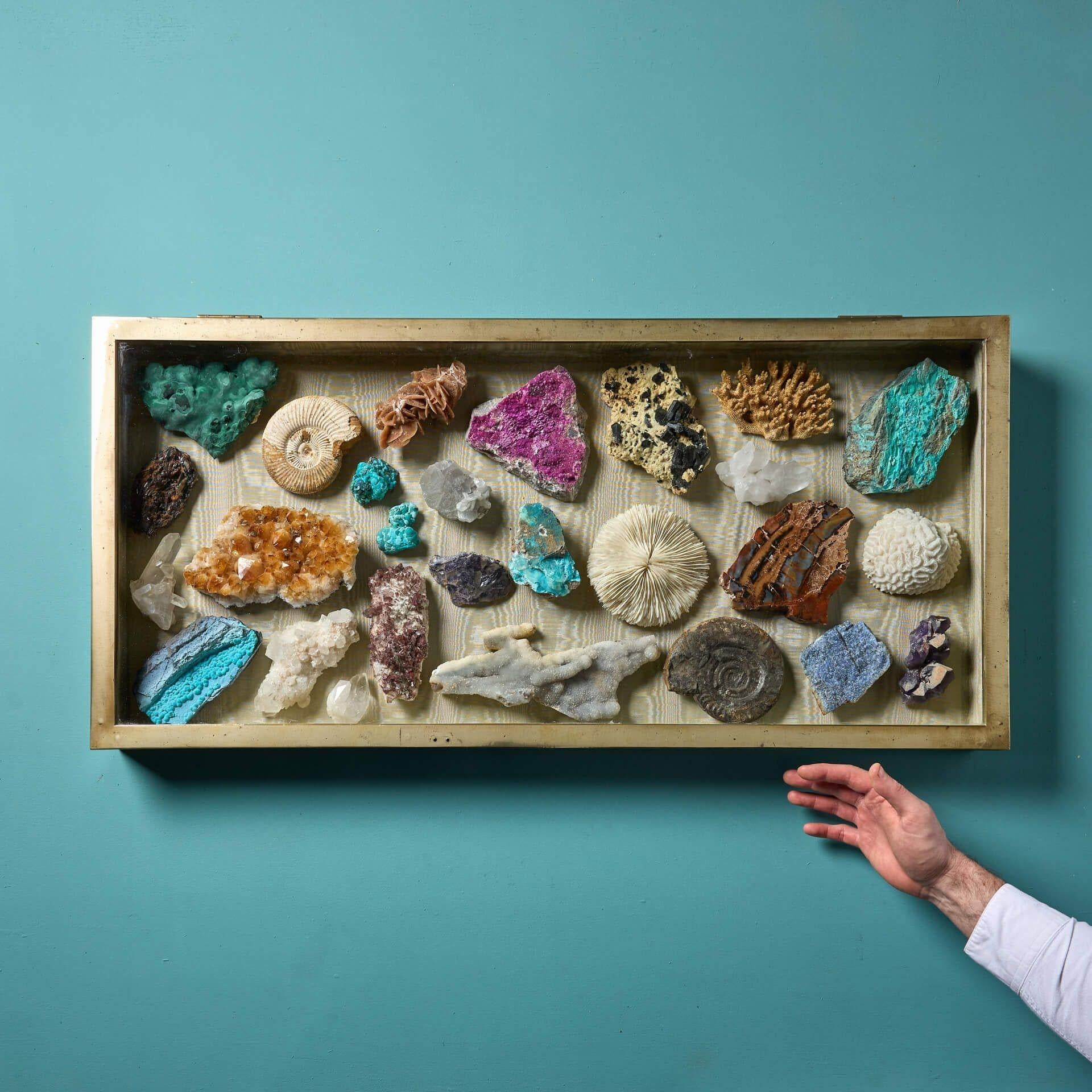 A Collection of natural history specimens in an antique glazed display case. Housing 27 exquisite fossils and minerals this is truly a cabinet of curiosities; including three corals, two ammonites, desert rose, citrine, calcite, malachite,