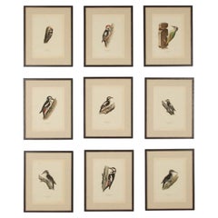 Prints