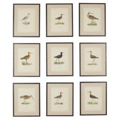 Prints