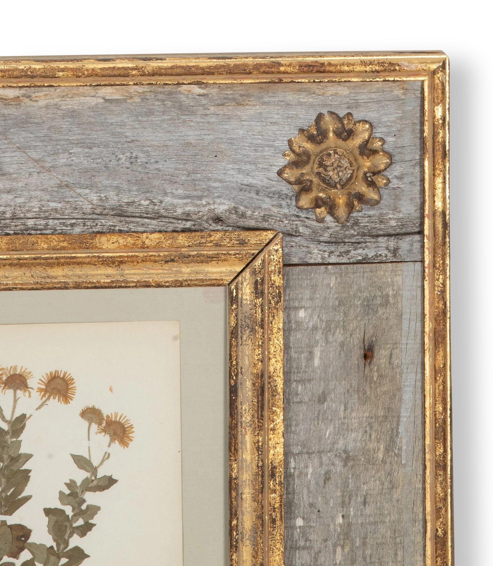 Collection of Nine 20th Century Framed Herbarium Studies im Zustand „Gut“ im Angebot in Tetbury, Gloucestershire