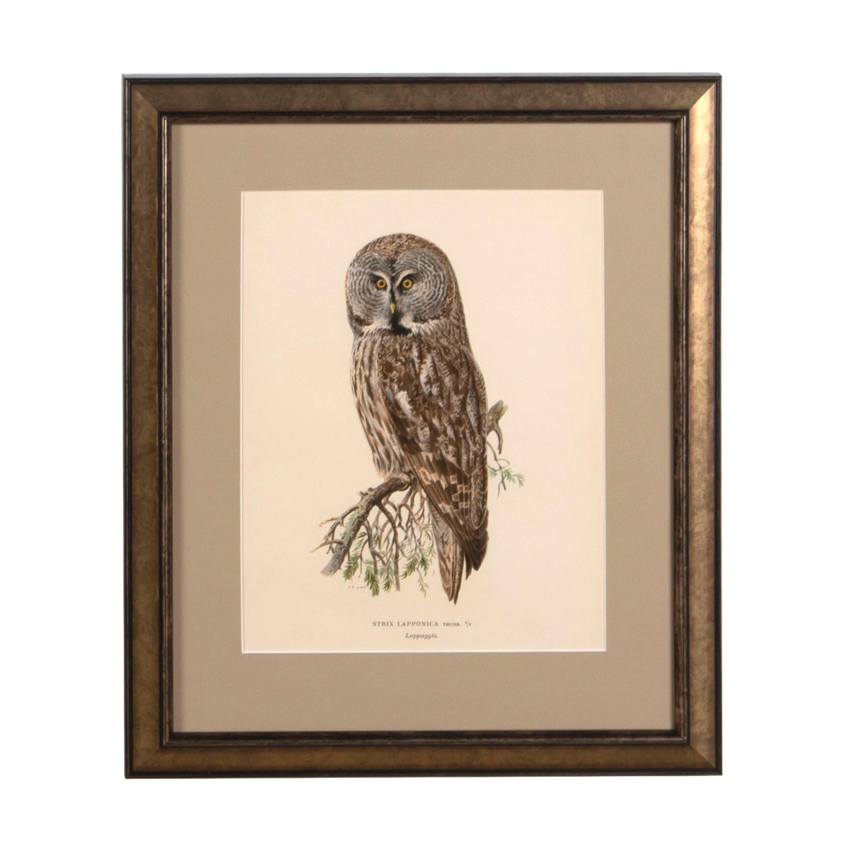 Collection of Nine 20th Century Swedish Owl Engravings In Good Condition In Tetbury, Gloucestershire