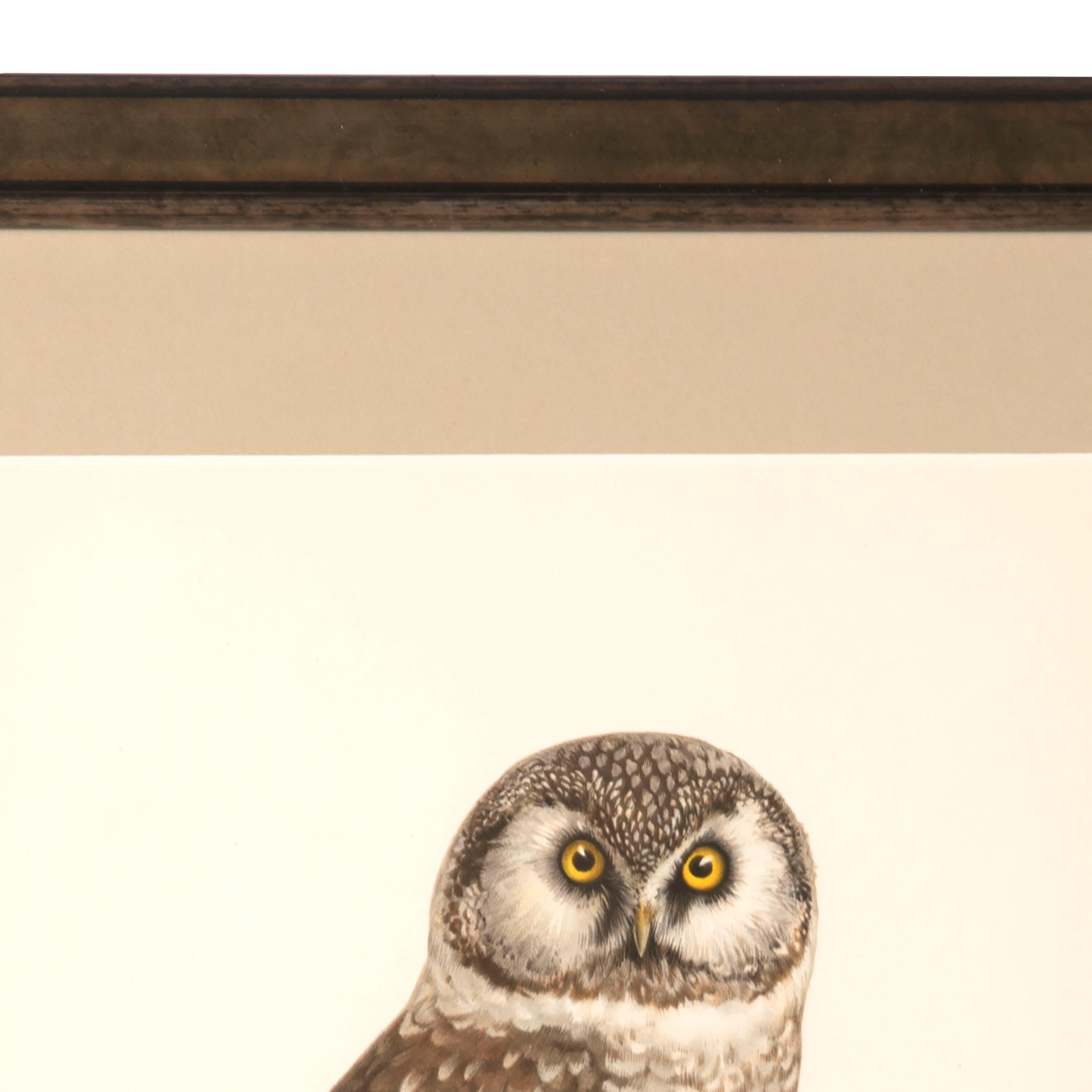 Collection of Nine 20th Century Swedish Owl Engravings 1