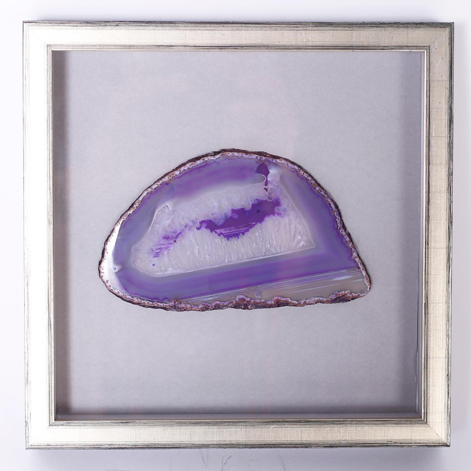 Collection of Nine Framed Agate Specimens 1