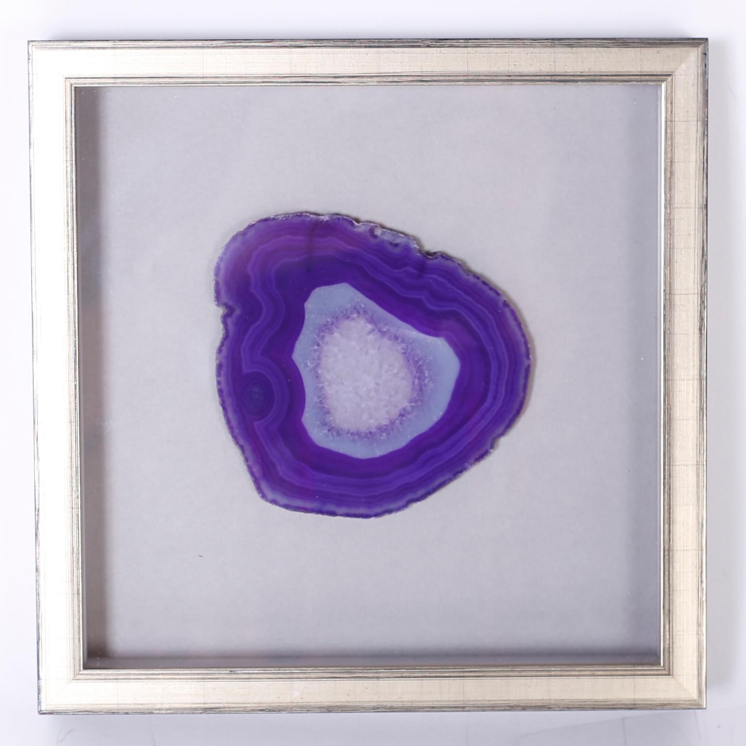 Collection of Nine Framed Agate Specimens In New Condition In Palm Beach, FL
