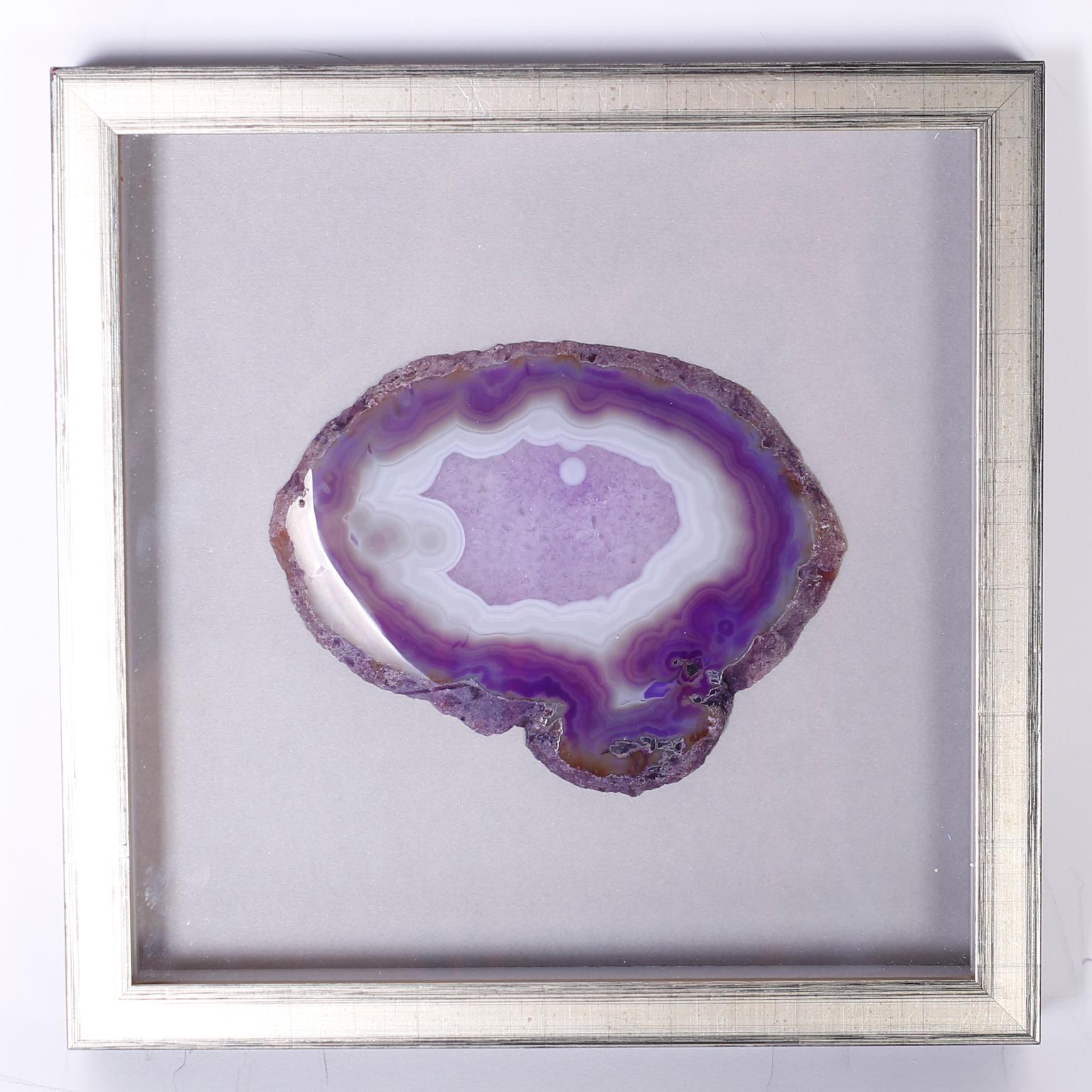 Contemporary Collection of Nine Framed Agate Specimens