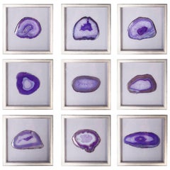 Collection of Nine Framed Agate Specimens