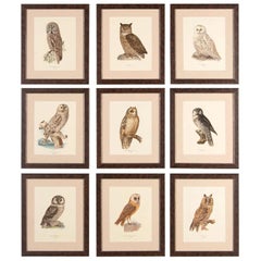 Vintage Collection of Nine Swedish Owls