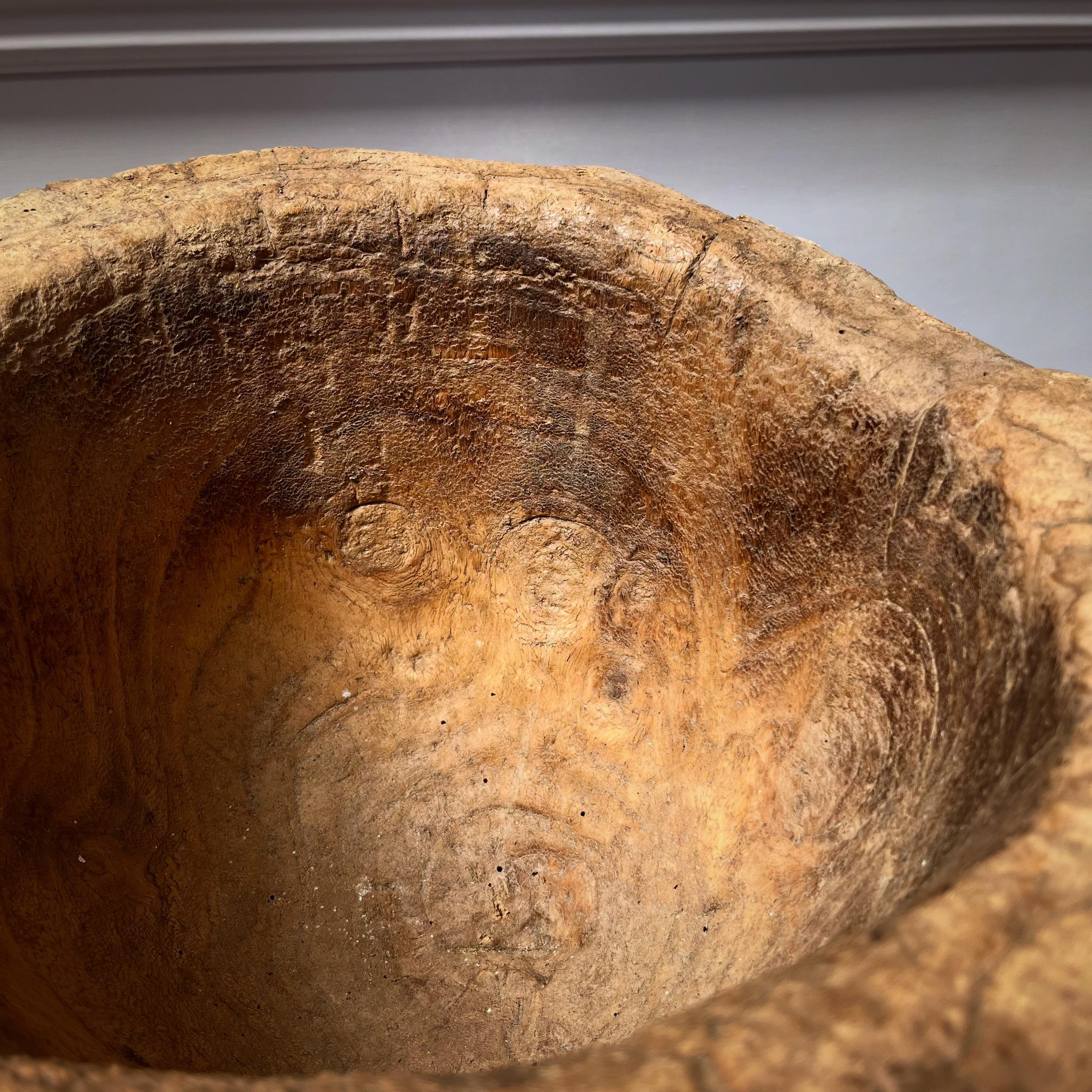 Asian Collection of nineteenth century elm mortars For Sale