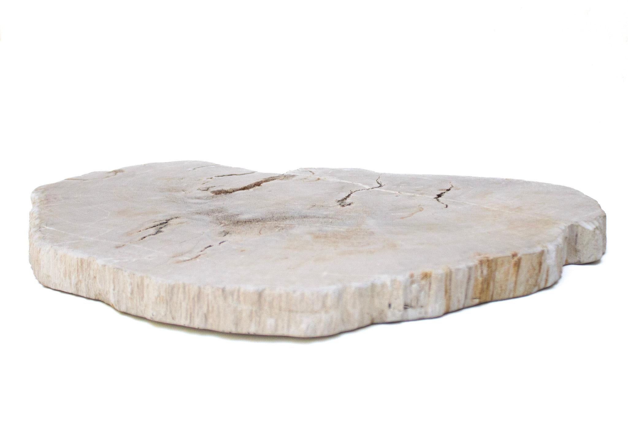 Collection of Organic Modern Petrified Wood For Sale 6