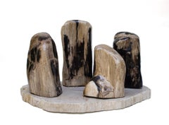 Collection of Organic Modern Petrified Wood