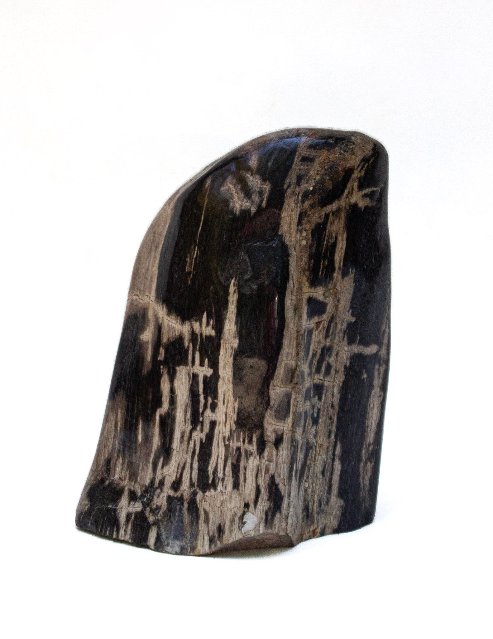 American Collection of Organic Modern Petrified Wood For Sale