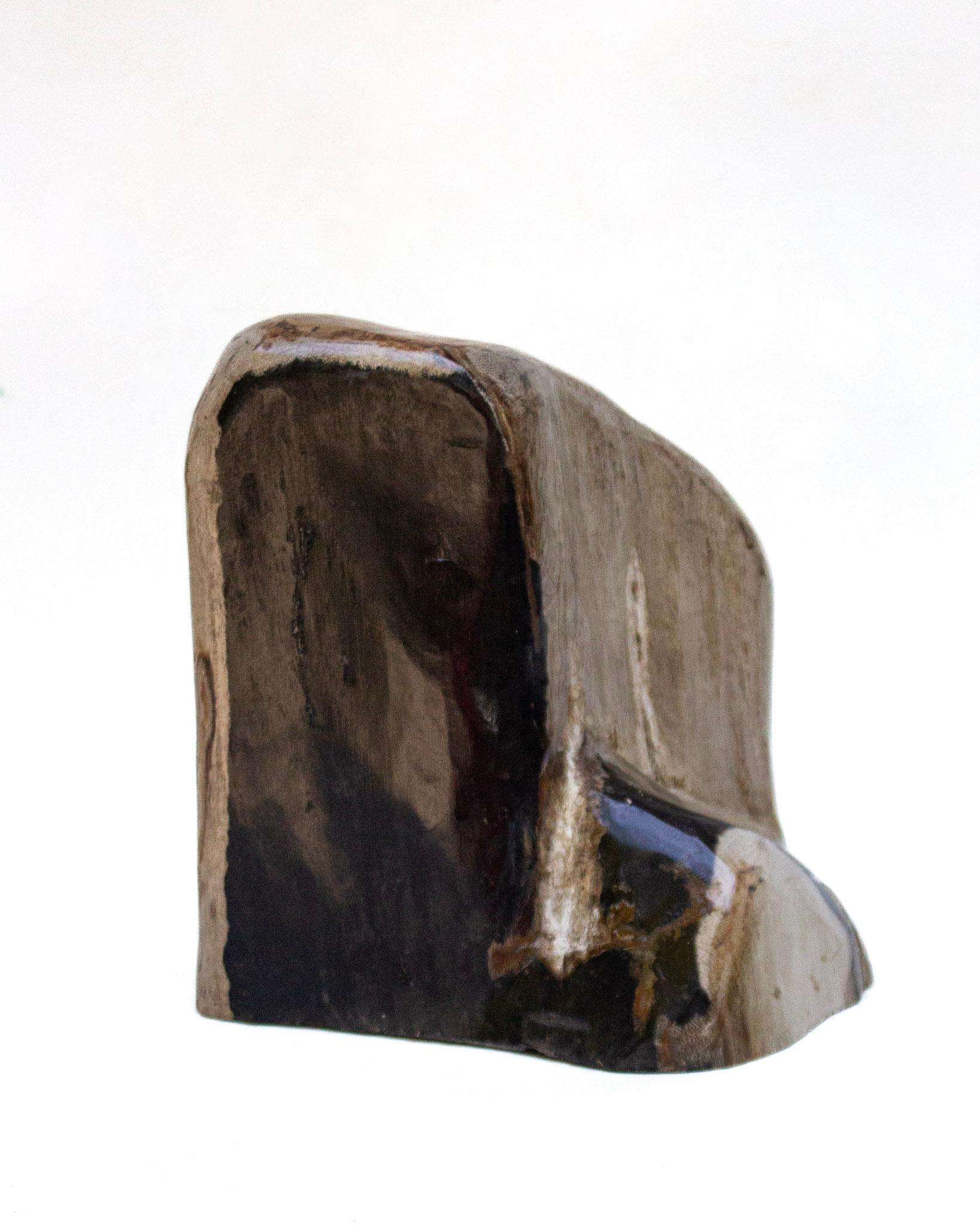 Collection of Organic Modern Petrified Wood In Good Condition For Sale In Dublin, Dalkey