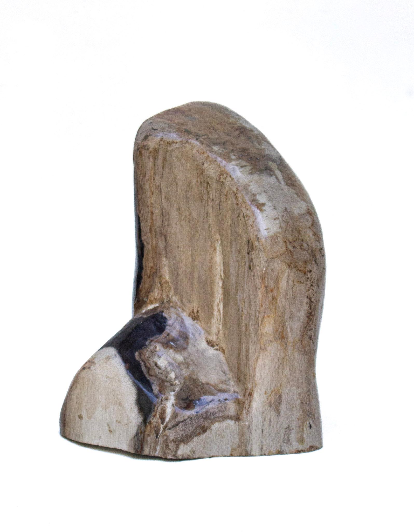 18th Century and Earlier Collection of Organic Modern Petrified Wood For Sale