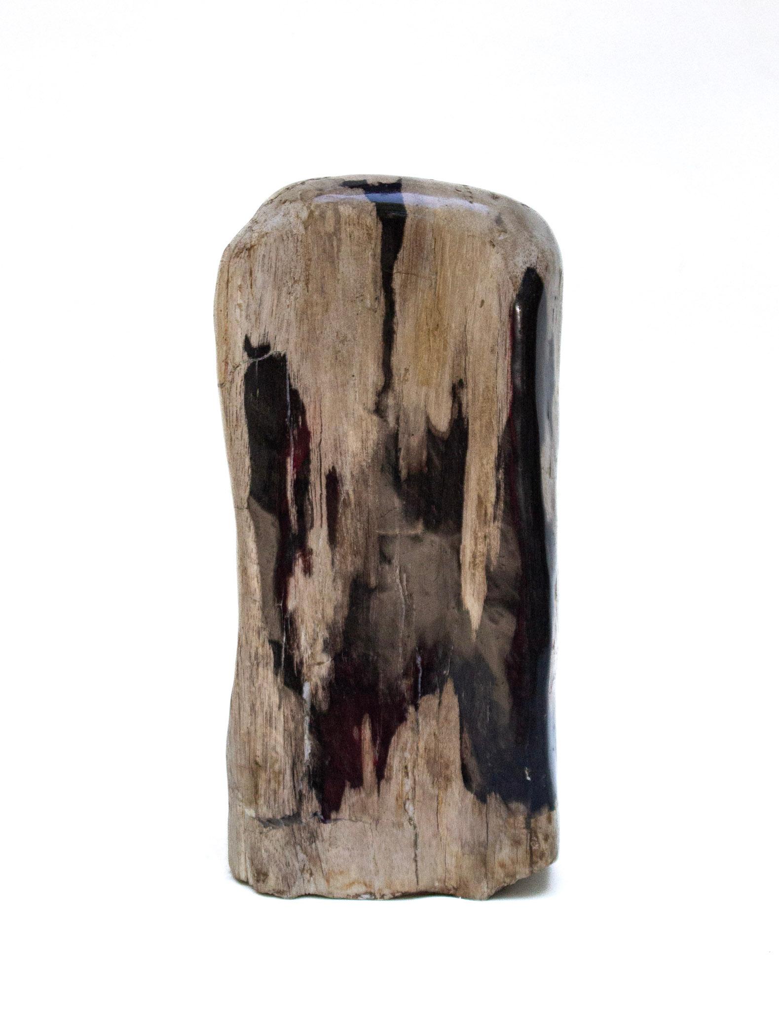 Collection of Organic Modern Petrified Wood For Sale 1
