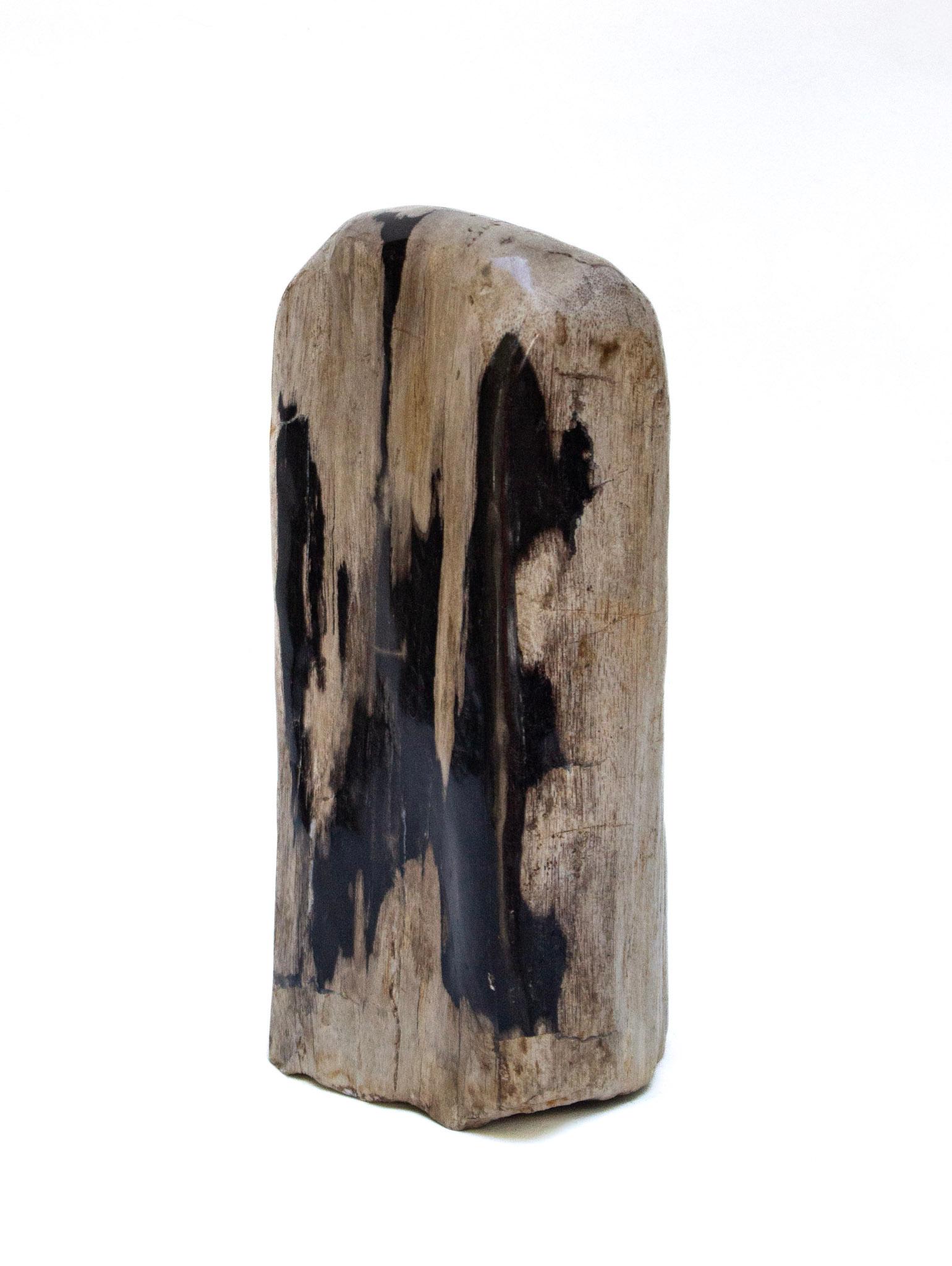 Collection of Organic Modern Petrified Wood For Sale 2