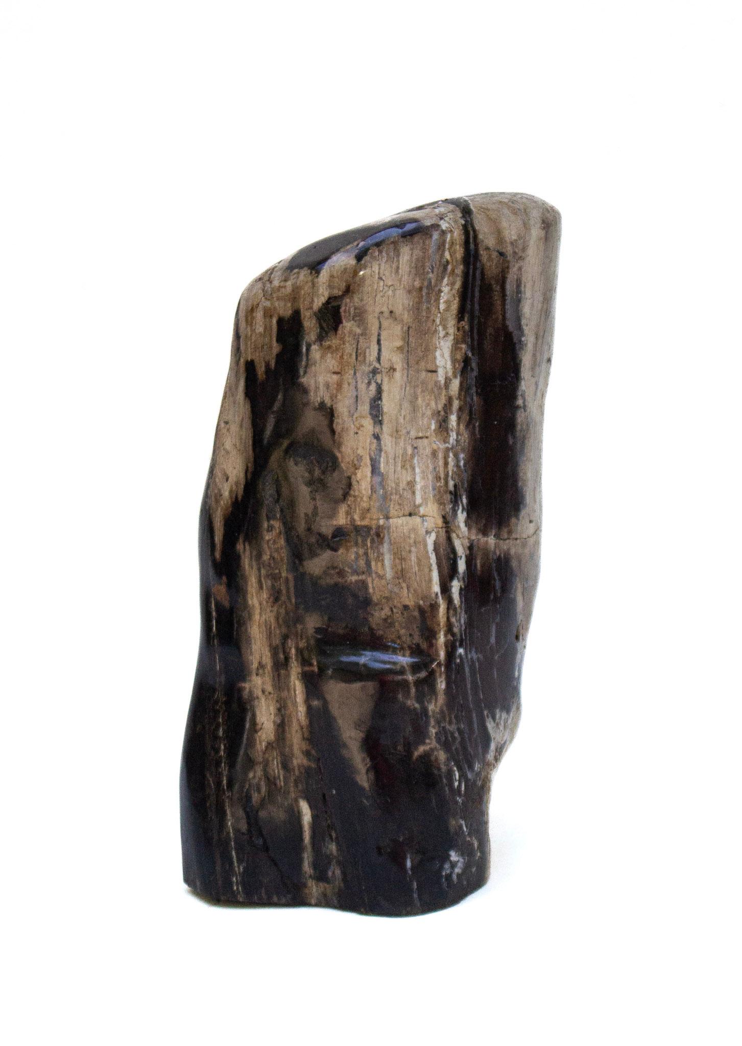Collection of Organic Modern Petrified Wood For Sale 3