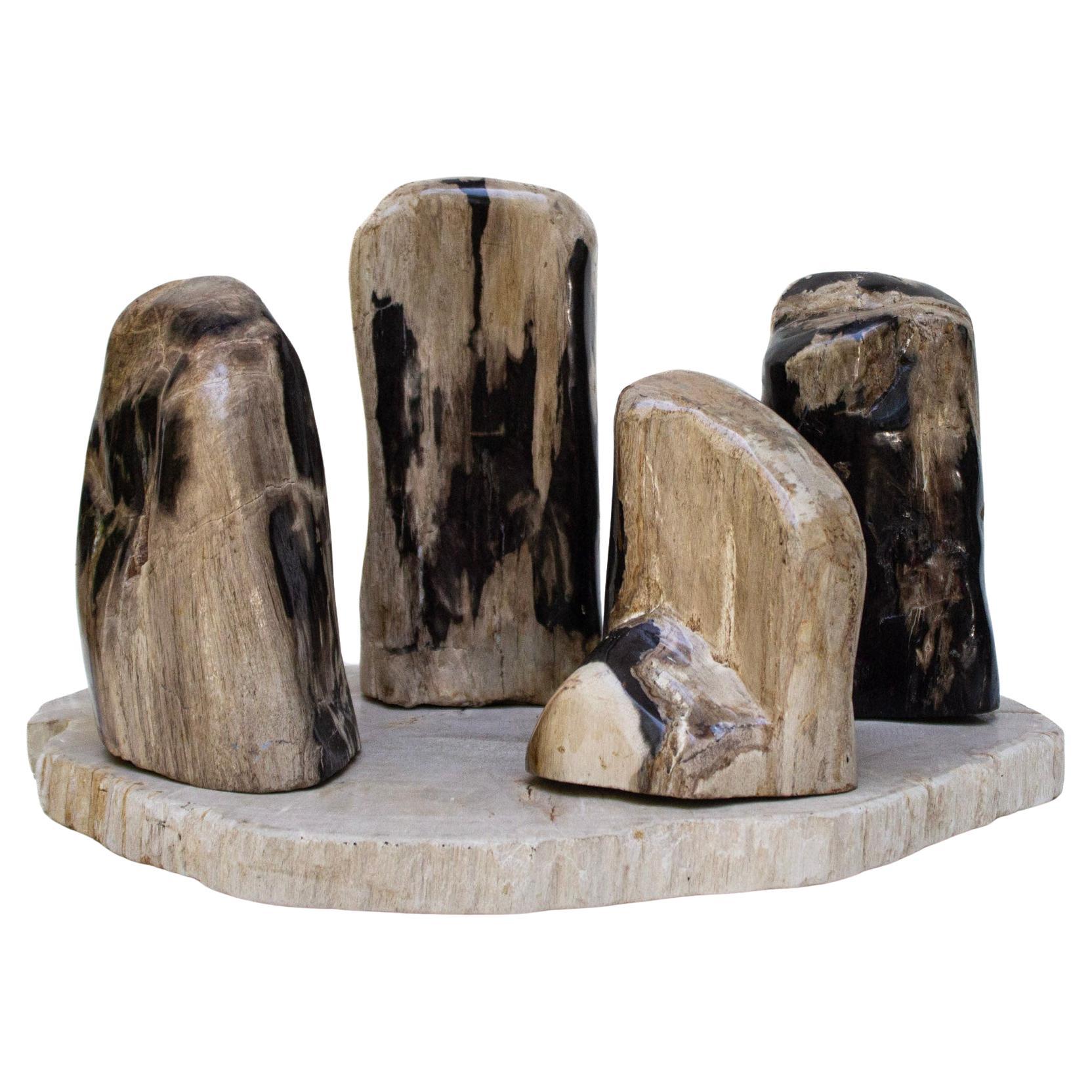 Collection of Organic Modern Petrified Wood For Sale