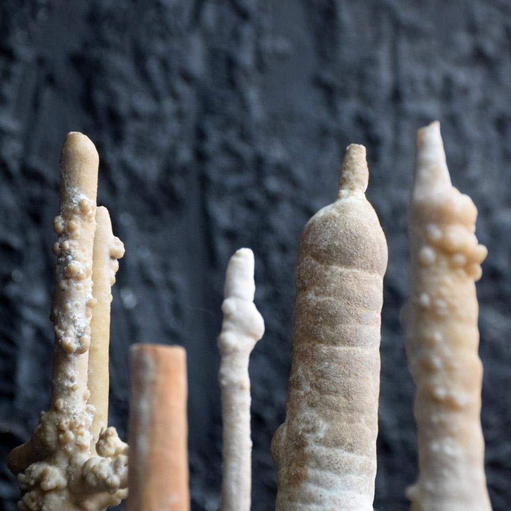 Collection of Rare Shaped Natural History Museum Stalagmite Forms 3