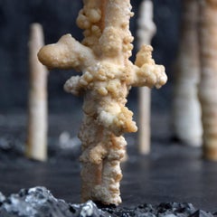 Collection of Rare Shaped Natural History Museum Stalagmite Forms
