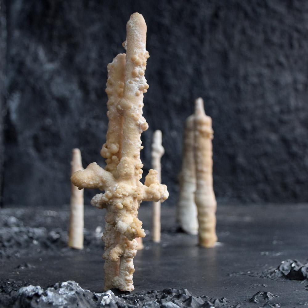 English Collection of Rare Shaped Natural History Museum Stalagmite Forms