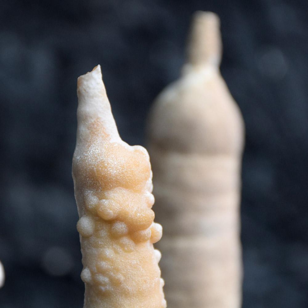 Hand-Crafted Collection of Rare Shaped Natural History Museum Stalagmite Forms