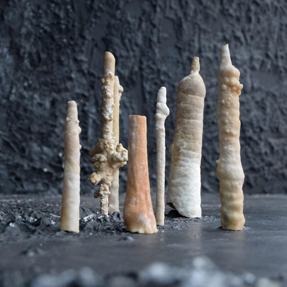 Early 19th Century Collection of Rare Shaped Natural History Museum Stalagmite Forms